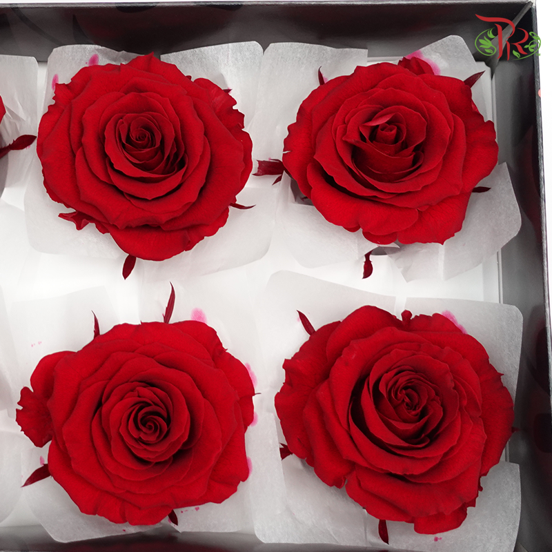 Preservative Full Bloom Rose (6 Blooms) - Ever Red - Pudu Ria Florist Southern