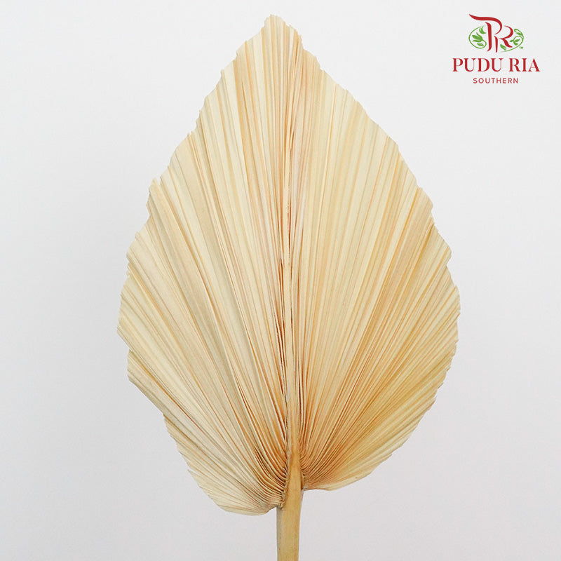 Dry Palm Dyed (5 Stems) - Pudu Ria Florist Southern