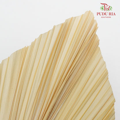 Dry Palm Dyed (5 Stems) - Pudu Ria Florist Southern