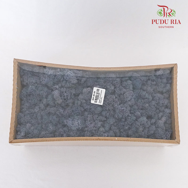 Preservative Reindeer Moss - Navy Blue - Pudu Ria Florist Southern