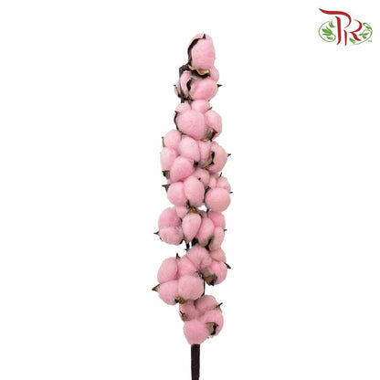 Cotton Flower Dyed Colour - Pink - Pudu Ria Florist Southern