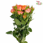 Rose Spray Babe (8-10 Stems) - Pudu Ria Florist Southern