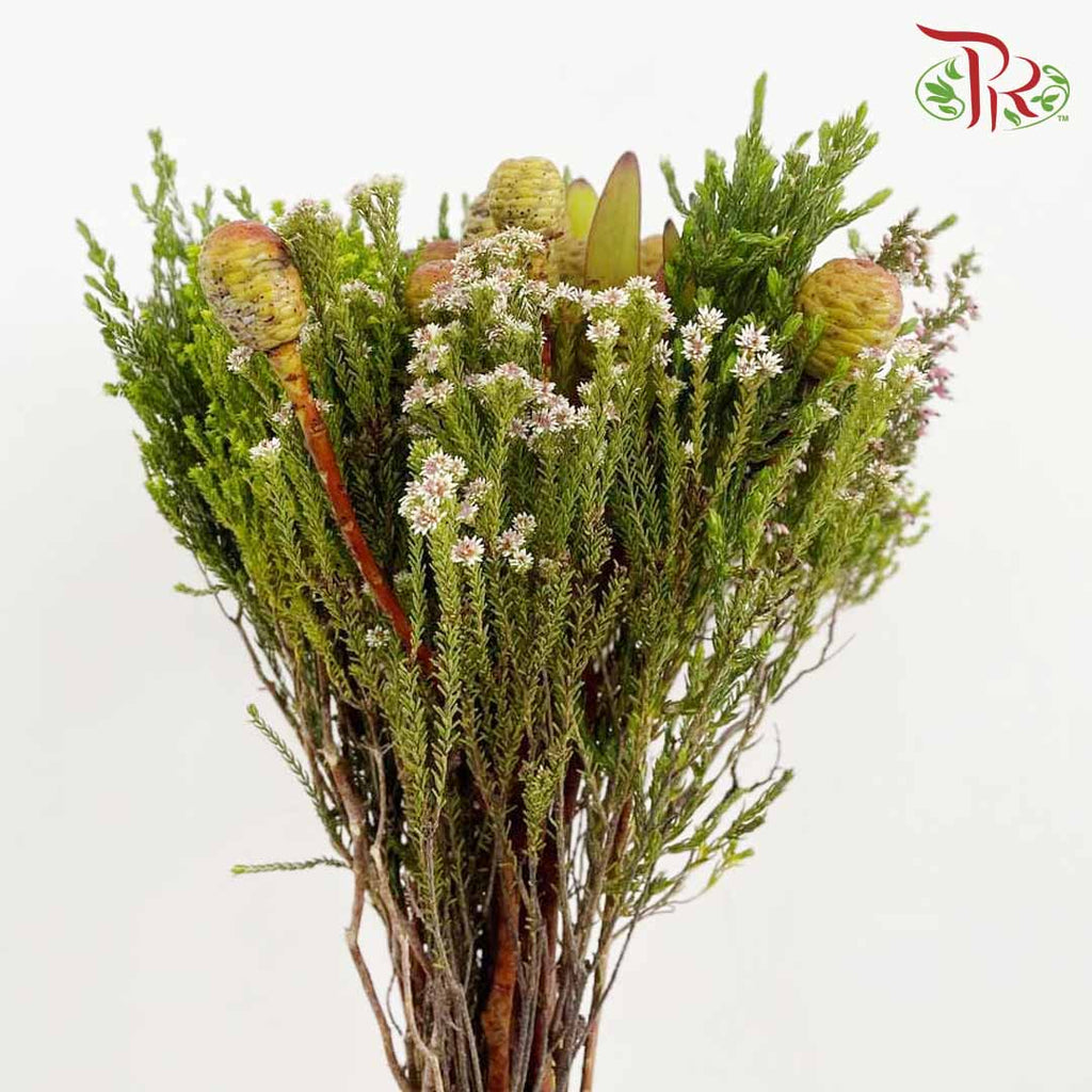 Safari Mix Cone / Cape Cone - Pudu Ria Florist Southern