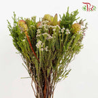 Safari Mix Cone / Cape Cone - Pudu Ria Florist Southern