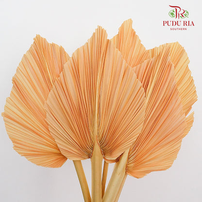 Dry Palm Dyed Orange (5 Stems) - Pudu Ria Florist Southern