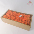 Preservative Reindeer Moss - Orange - Pudu Ria Florist Southern