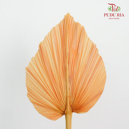 Dry Palm Dyed Orange (5 Stems) - Pudu Ria Florist Southern
