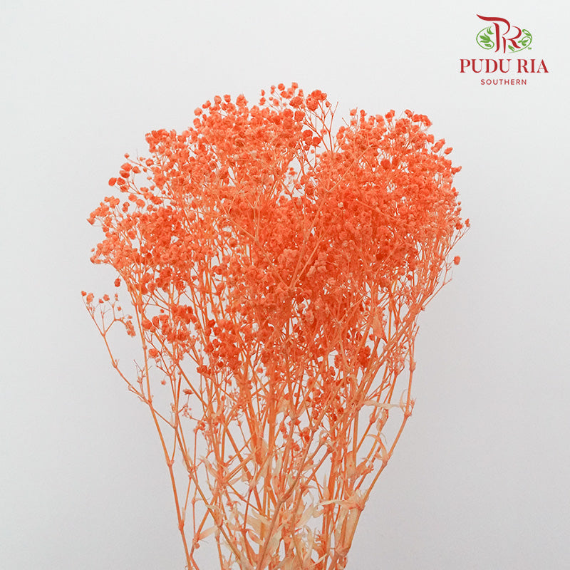 Preservative Baby Breath - Orange - Pudu Ria Florist Southern