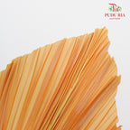 Dry Palm Dyed Orange (5 Stems) - Pudu Ria Florist Southern