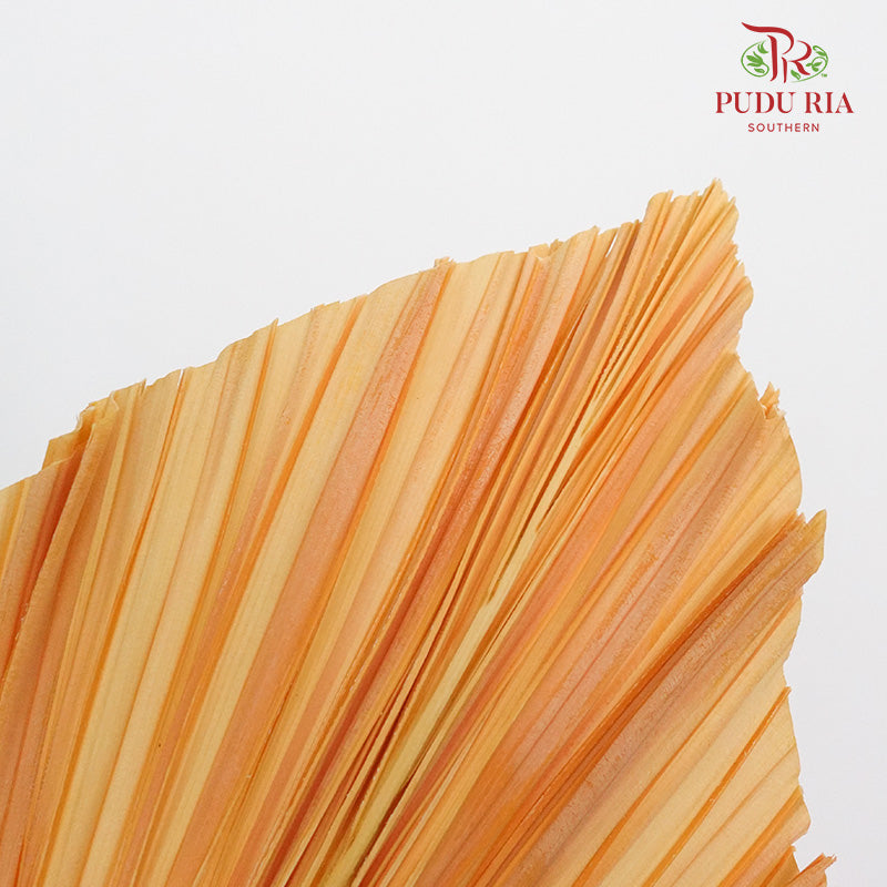 Dry Palm Dyed Orange (5 Stems) - Pudu Ria Florist Southern