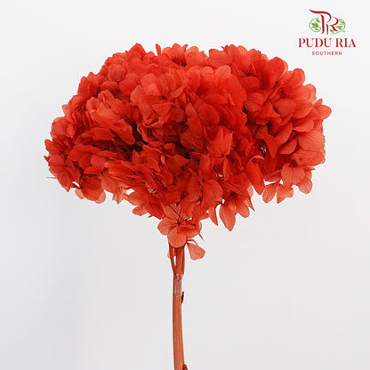 Preservative Hydrangea - Orange Red / Per Stem - Pudu Ria Florist Southern