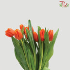 Tulip Orange (8-9 Stems) - Pudu Ria Florist Southern