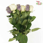 Rose Dark Grey Clouds (8-10 Stems) - Pudu Ria Florist Southern
