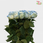 Rose Mondial Dyed Powder Blue (8-10 Stems) - Pudu Ria Florist Southern