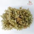 Preservative Hydrangea - Pale Drab - Pudu Ria Florist Southern