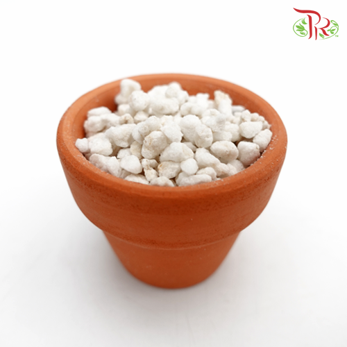 Perlite - Pudu Ria Florist Southern