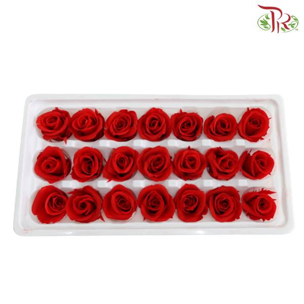 21 Bloom Preservative Rose - Red - Pudu Ria Florist Southern