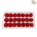 21 Bloom Preservative Rose - Red - Pudu Ria Florist Southern