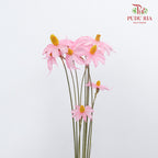 Dry Sapphire Pink - Pudu Ria Florist Southern