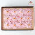 Zinnia - Pink - Pudu Ria Florist Southern