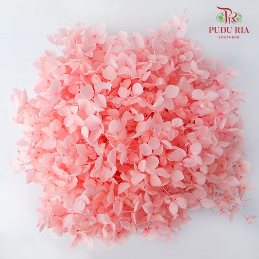 Preservative Hydrangea - Pink - Pudu Ria Florist Southern
