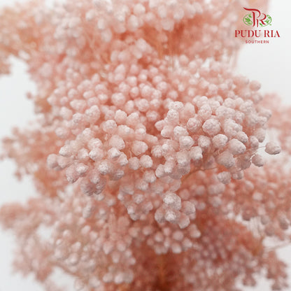 Preservative Rice Flower - Pink - Pudu Ria Florist Southern