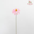 Dry Sapphire Pink - Pudu Ria Florist Southern