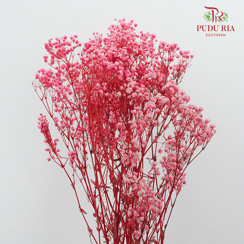 Preservative Baby Breath - Pink - Pudu Ria Florist Southern