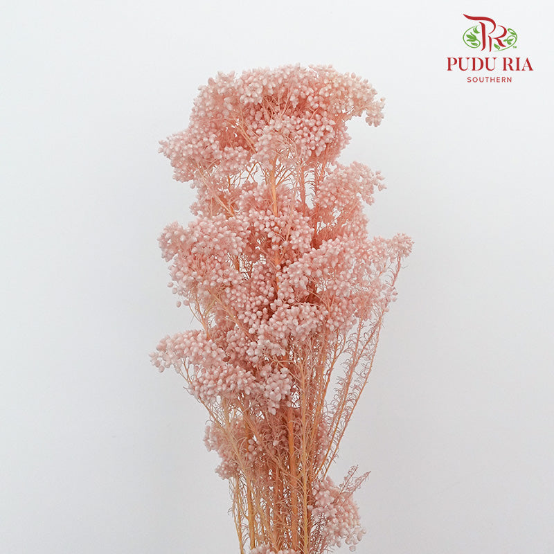 Preservative Rice Flower - Pink - Pudu Ria Florist Southern