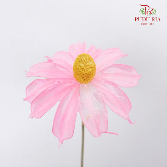 Dry Sapphire Pink - Pudu Ria Florist Southern