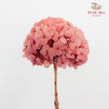 Preservative Hydrangea - Pinkish Red / Per Stem - Pudu Ria Florist Southern