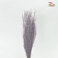 Preservative Agrotis - Pudu Ria Florist Southern