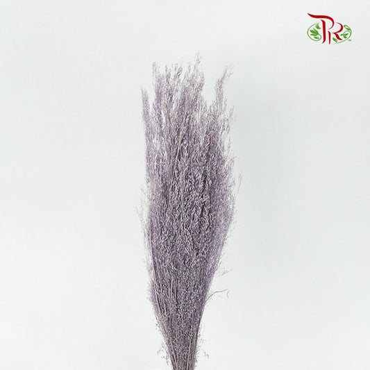 Preservative Agrotis - Pudu Ria Florist Southern