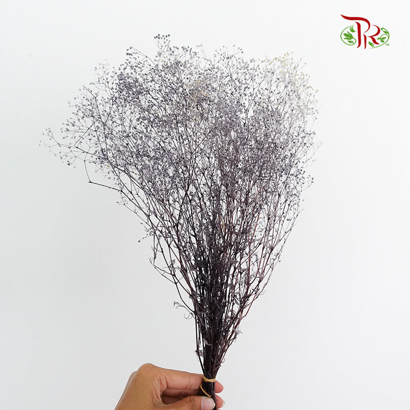 Preservative Baby Breath Mini Dark Blue - Pudu Ria Florist Southern