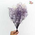 Preservative Baby Breath Mini Purple - Pudu Ria Florist Southern