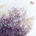 Preservative Baby Breath Mini Purple - Pudu Ria Florist Southern