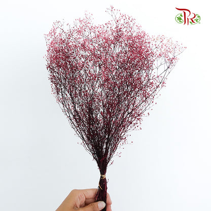 Preservative Baby Breath Mini Red - Pudu Ria Florist Southern