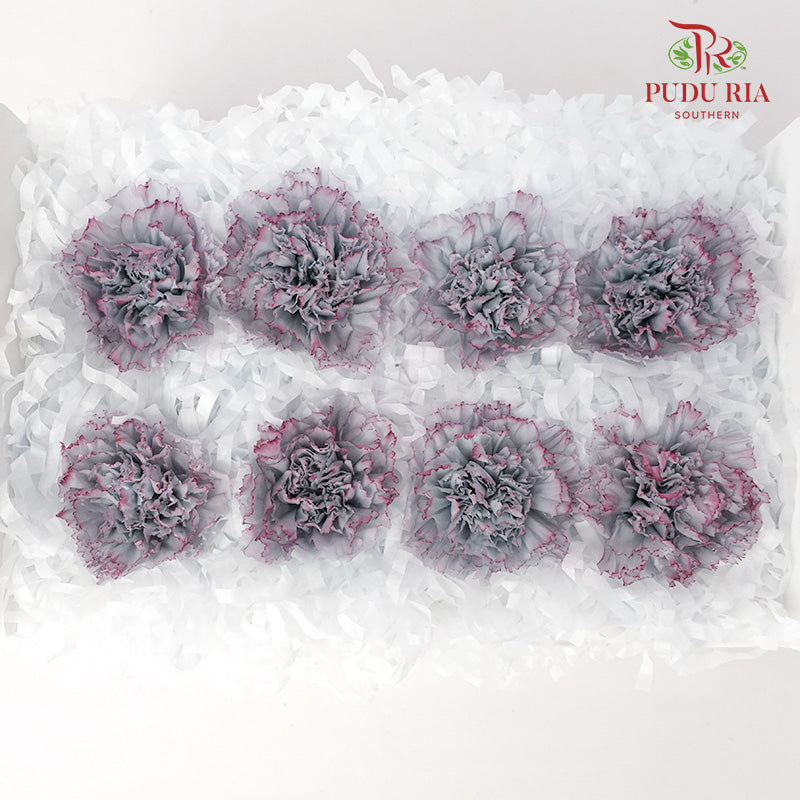 Preservative Carnation (8 Blooms) Grey And Purple - Pudu Ria Florist Southern