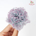 Preservative Carnation (8 Blooms) Grey And Purple - Pudu Ria Florist Southern