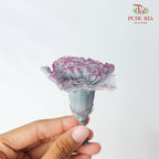 Preservative Carnation (8 Blooms) Grey And Purple - Pudu Ria Florist Southern