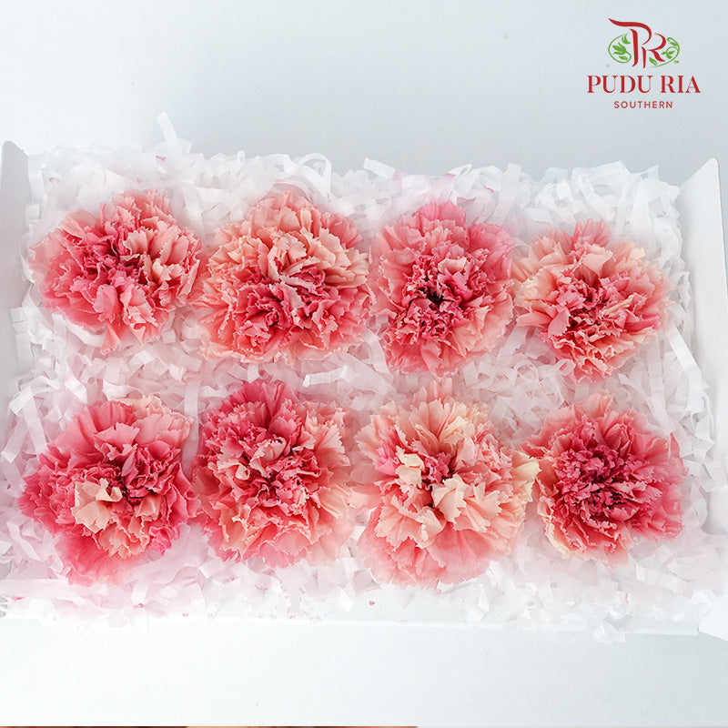 Preservative Carnation (8 Blooms) Peach - Pudu Ria Florist Southern