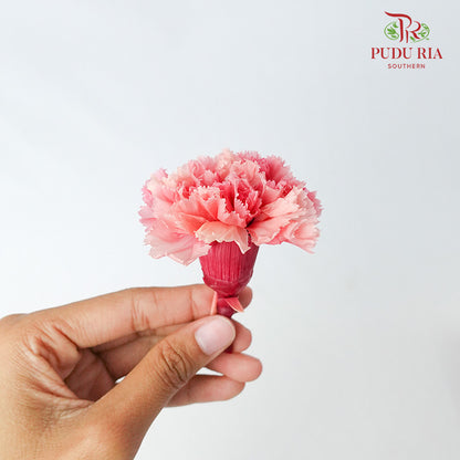 Preservative Carnation (8 Blooms) Peach - Pudu Ria Florist Southern