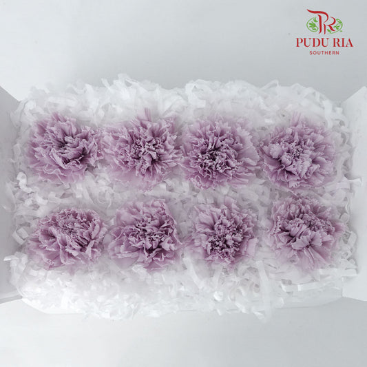 Preservative Carnation (8 Blooms) Purple - Pudu Ria Florist Southern