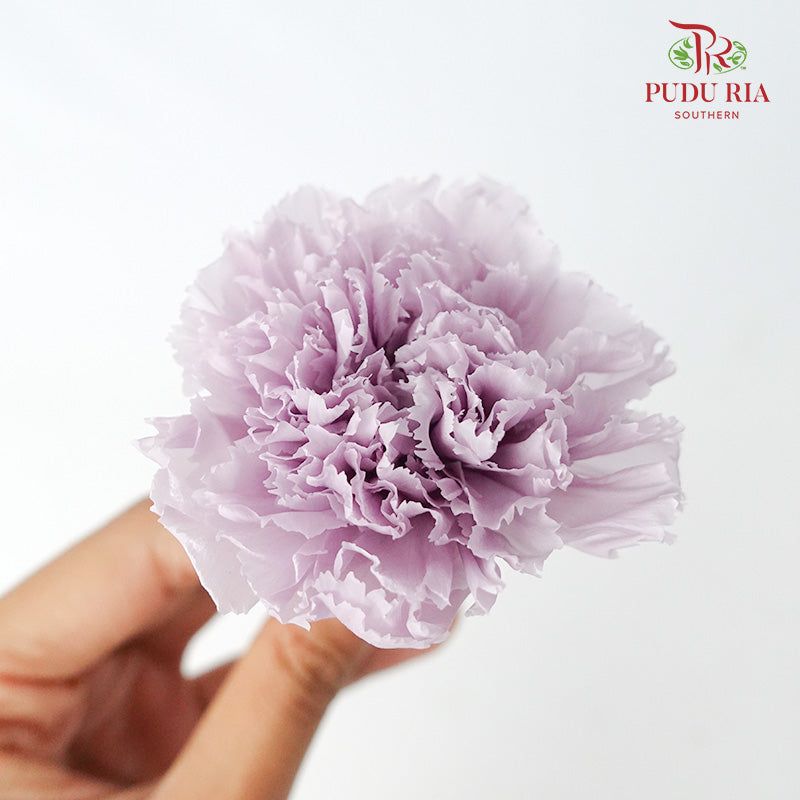 Preservative Carnation (8 Blooms) Purple - Pudu Ria Florist Southern