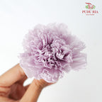 Preservative Carnation (8 Blooms) Purple - Pudu Ria Florist Southern