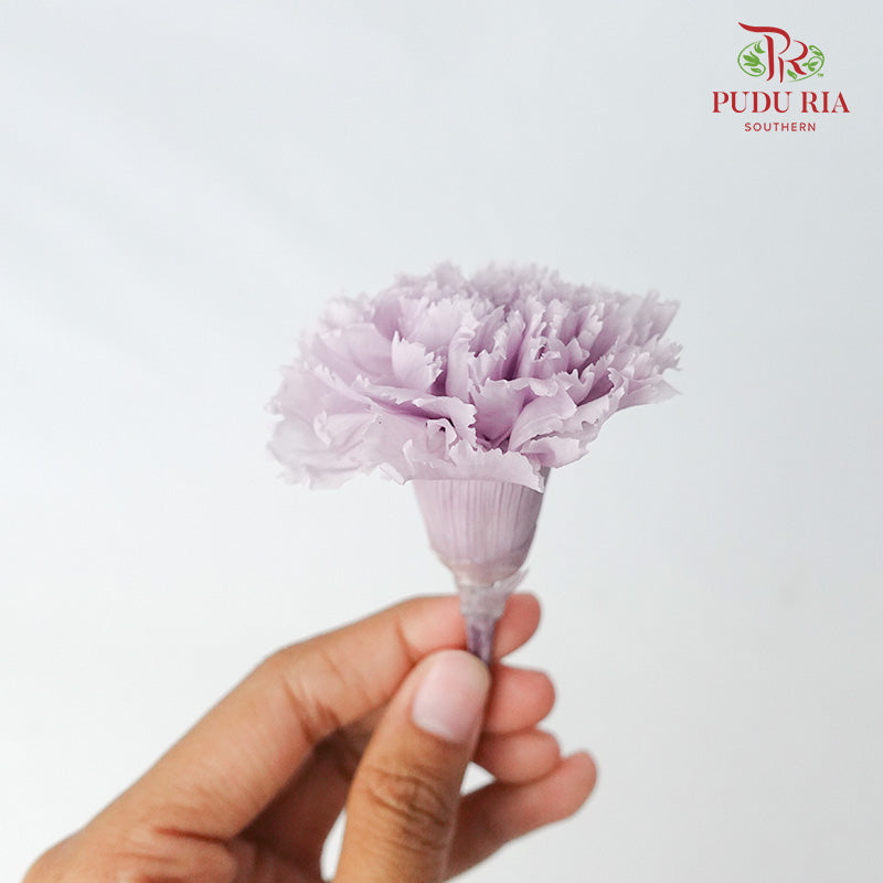 Preservative Carnation (8 Blooms) Purple - Pudu Ria Florist Southern