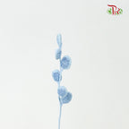 Preservative Fibigia (Light Blue) - Pudu Ria Florist Southern