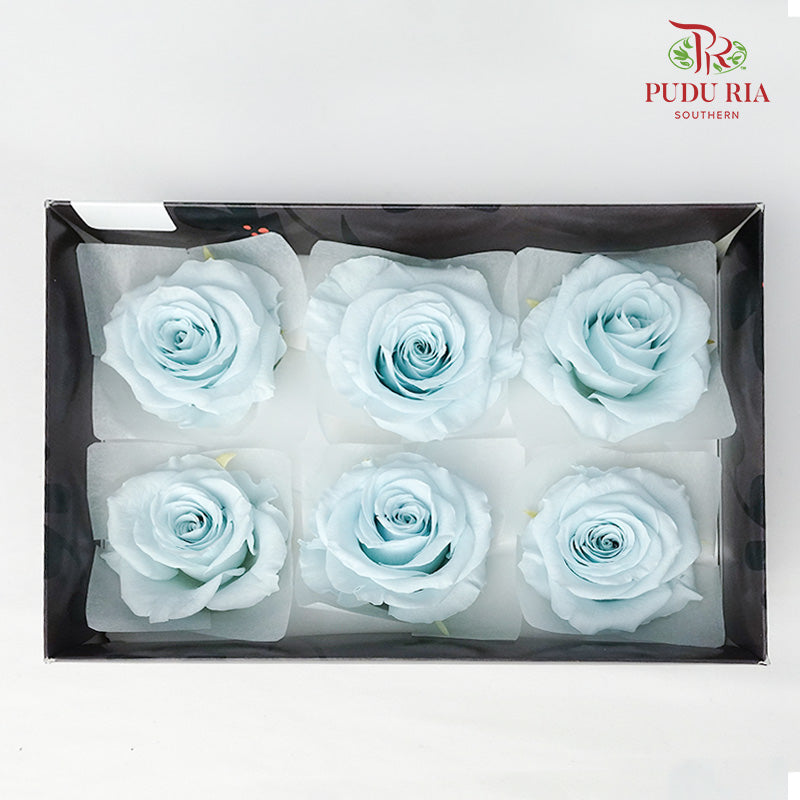 Preservative Full Bloom Rose (6 Blooms) - Light Blue - Pudu Ria Florist Southern
