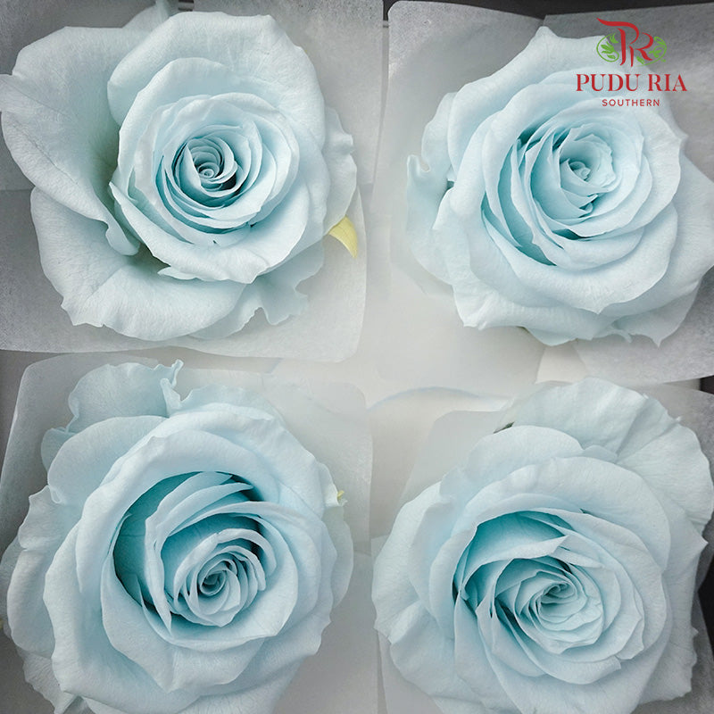 Preservative Full Bloom Rose (6 Blooms) - Light Blue - Pudu Ria Florist Southern