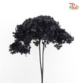 Preservative Hydrangea - Black / Per Stem - Pudu Ria Florist Southern